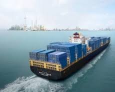 Pacific International Lines Pte Ltd Certificate Holder Address